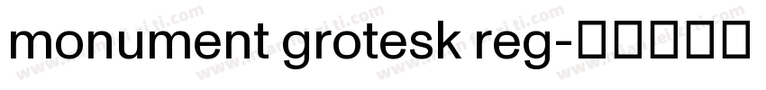 monument grotesk reg字体转换